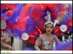 Carnaval de Mula 2014